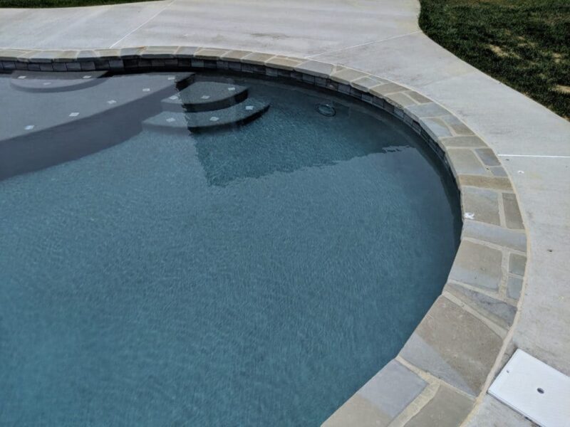 Freeform pool built by Coastal Pools in Maryland & Delaware